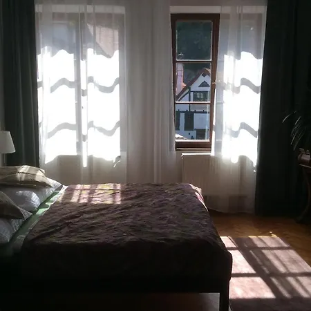 Διαμέρισμα Dlouha 93 *