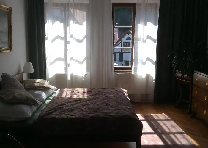 Apartament Dlouha 93 *